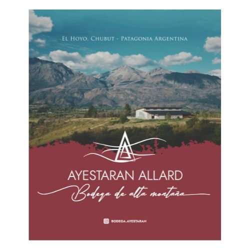 Ayestaran Allard Bodega de Alta Montaña