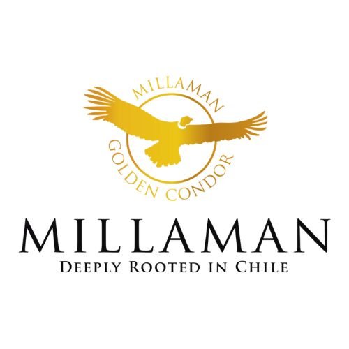 Casa Millaman