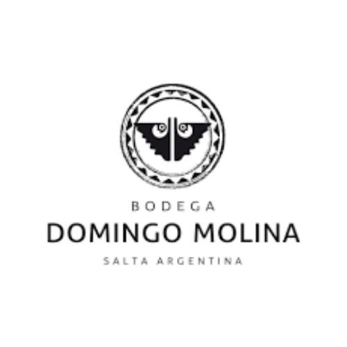 DOMINGO MOLINA