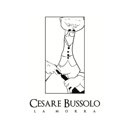 Cesare Bussolo