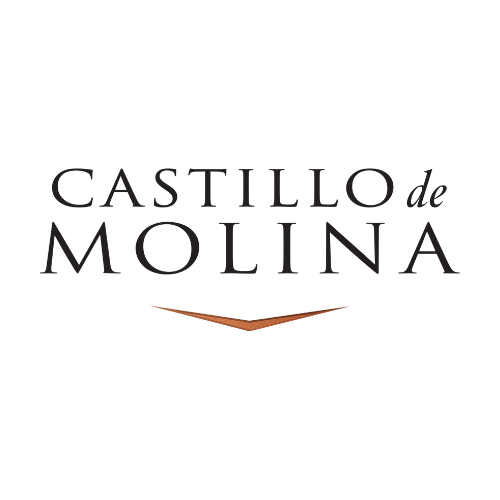 Castillo de Molina