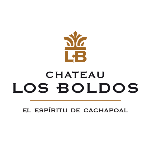 Chateau Los Boldos