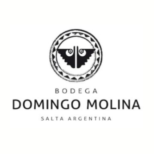 Domingo Molina