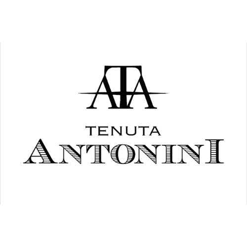 Tenuta Antonini