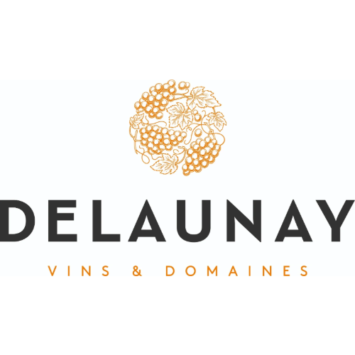 Delaunay-Vins-Domines