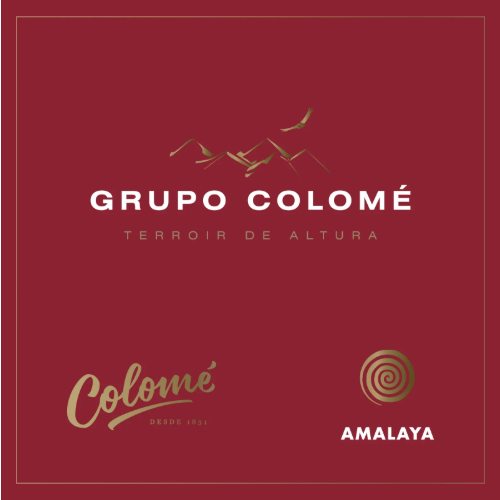 Grupo-Colome-Amalaya
